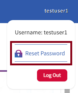 Reset Password Button